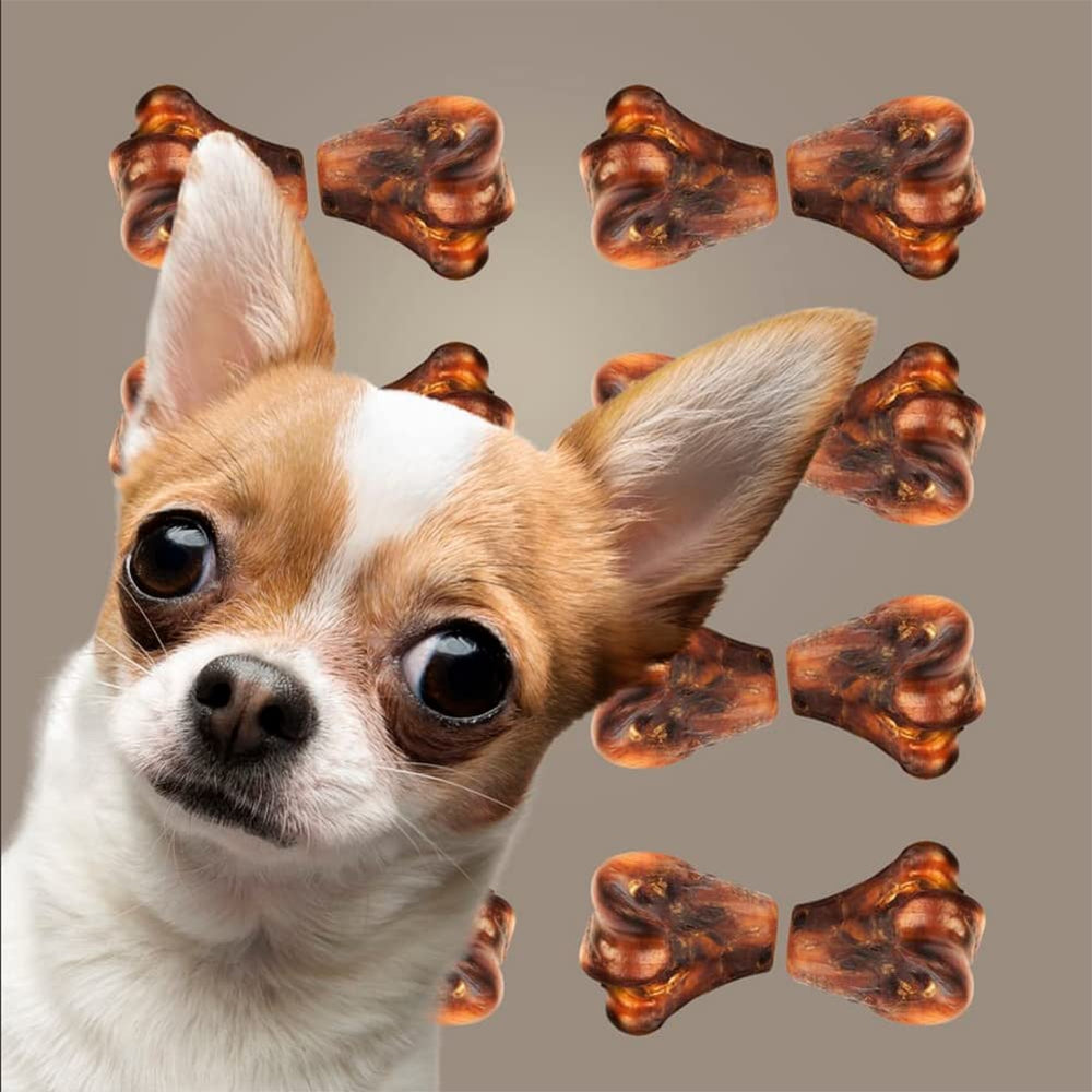 ROAM Golosinas para perros pequeños, porciones adecuadas para mordedores.