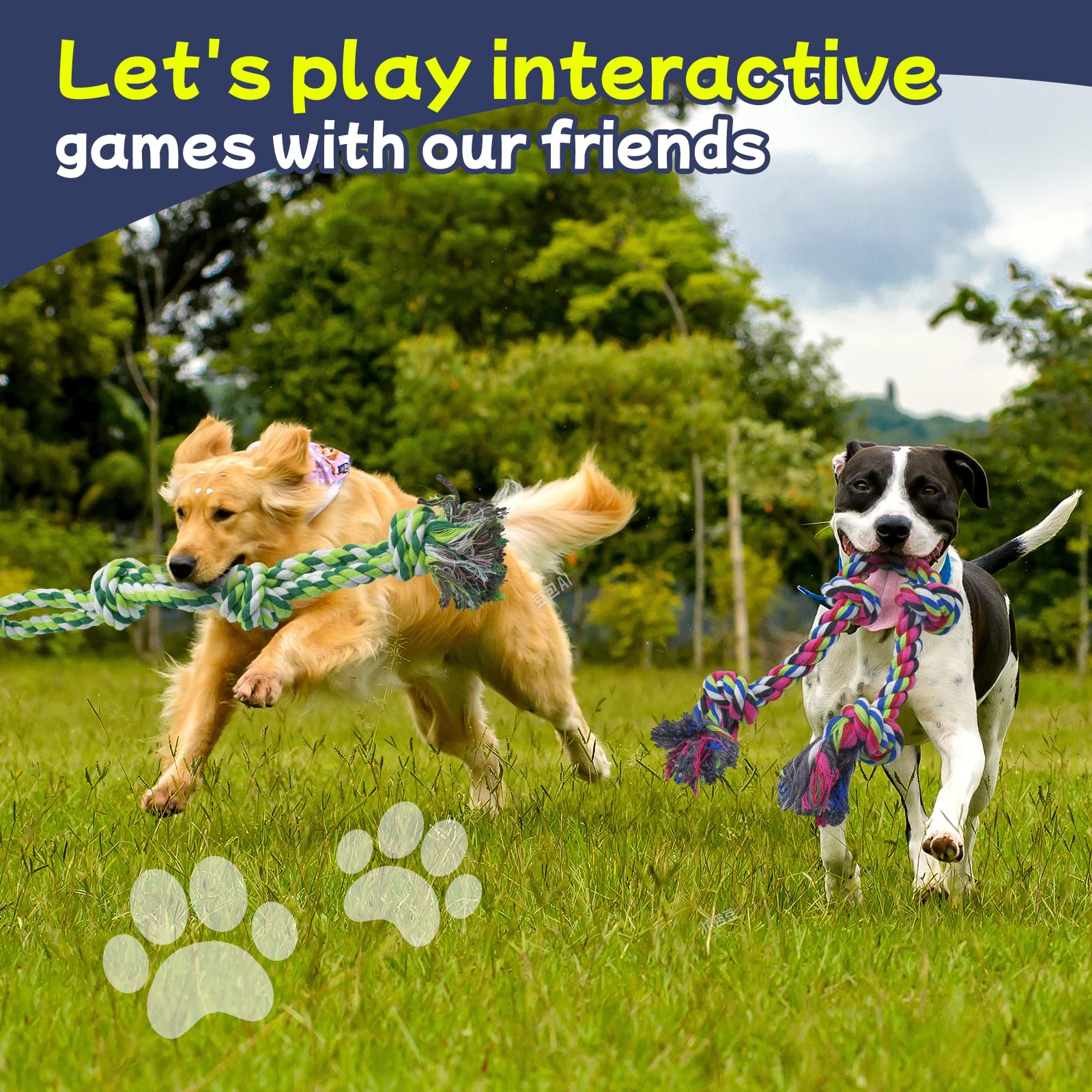 Rocfish regalo para perros, colores vivos y entretenimiento