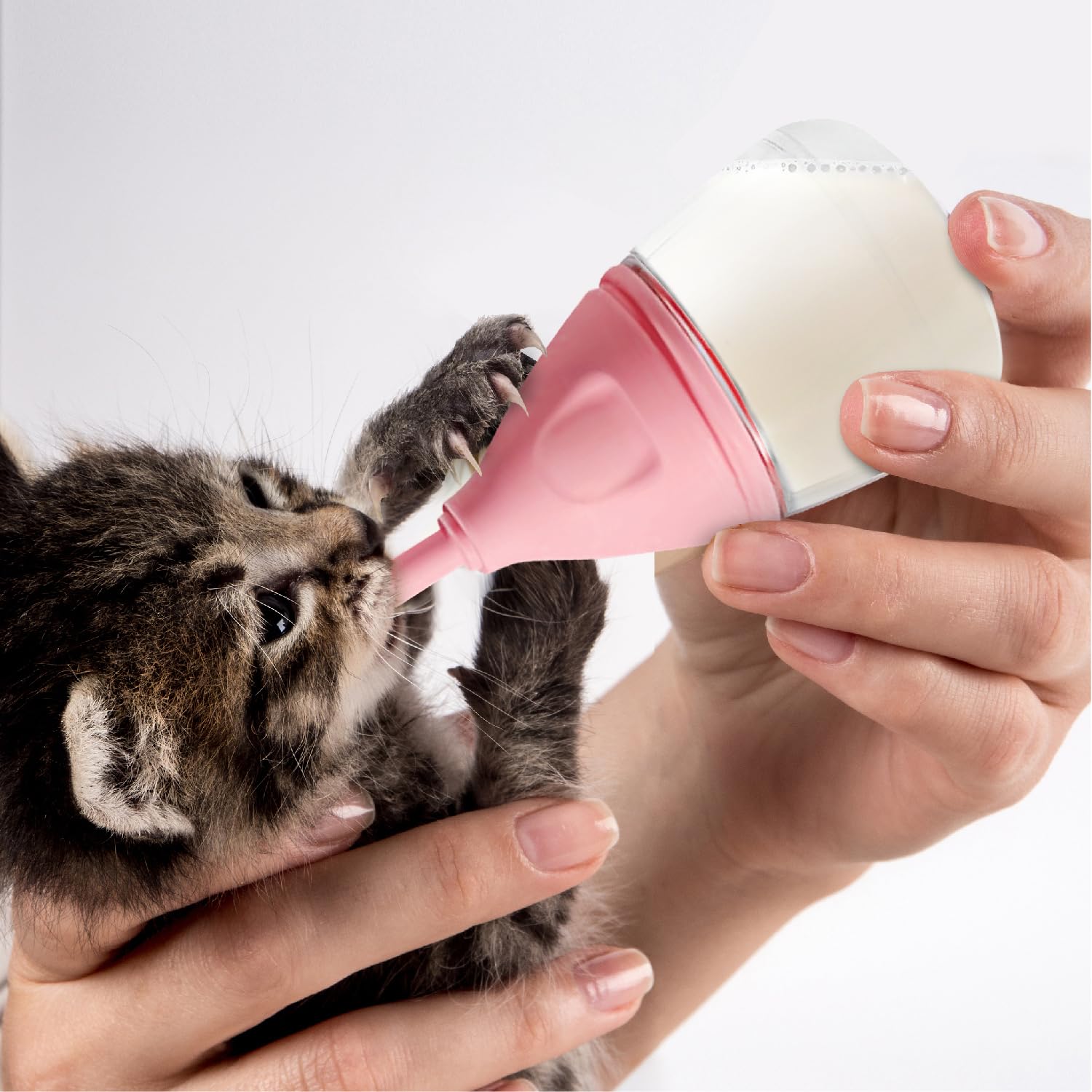 Rock Tech biberón con flujo lento para cachorro, rosa, seguro y cómodo.