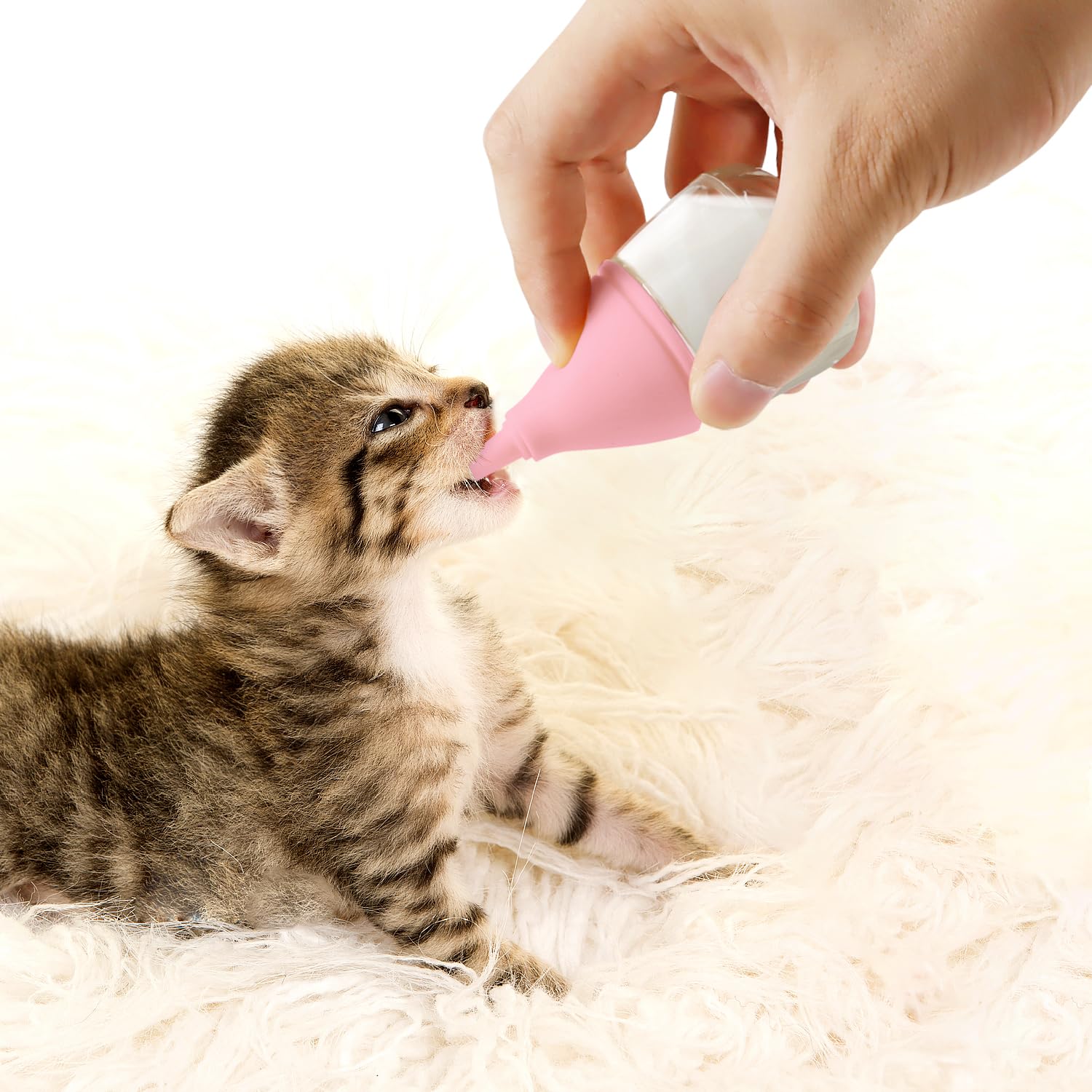 Rock Tech kit de biberón para gatitos y cachorros, rosa.
