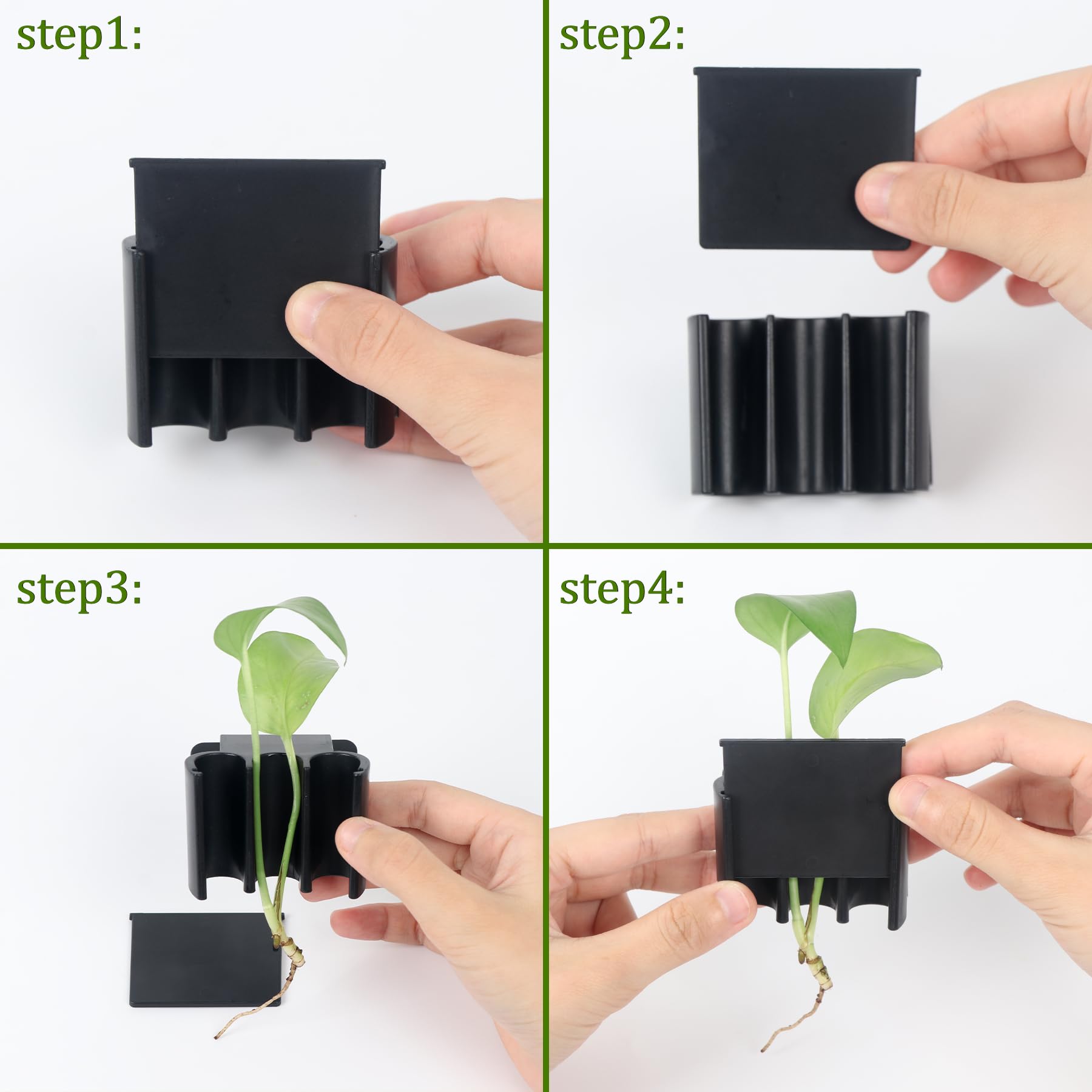 Roetelo: baffle removible para cambio sencillo de plantas en acuario.
