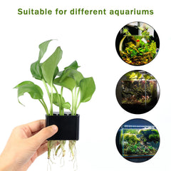 Roetelo: diseño de tres huecos para plantas acuáticas múltiples en el acuario.