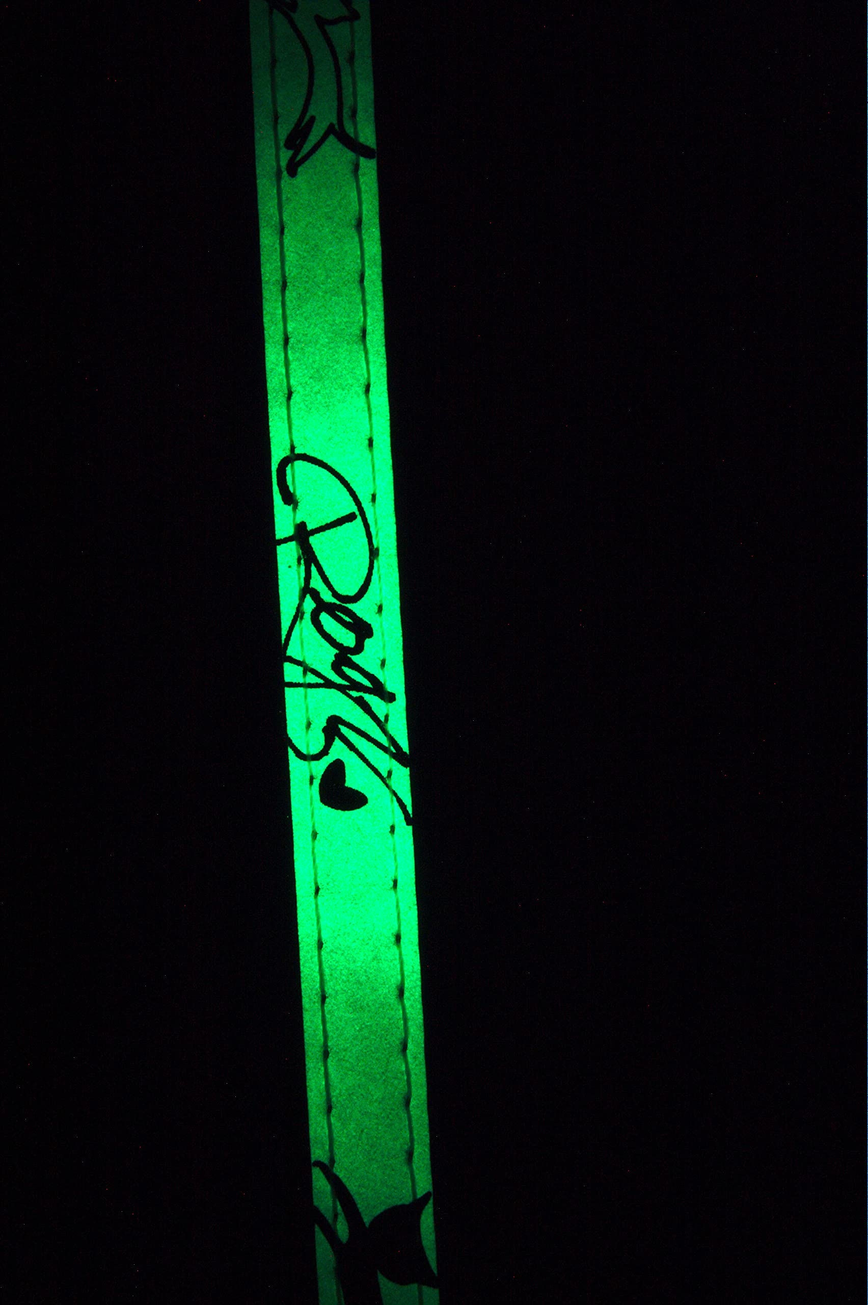 Rogz GlowCat hebilla de liberación ajustable para seguridad personalizada.