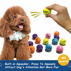 Bola Rohyu mini de colores brillantes con chirrido para perros pequeños