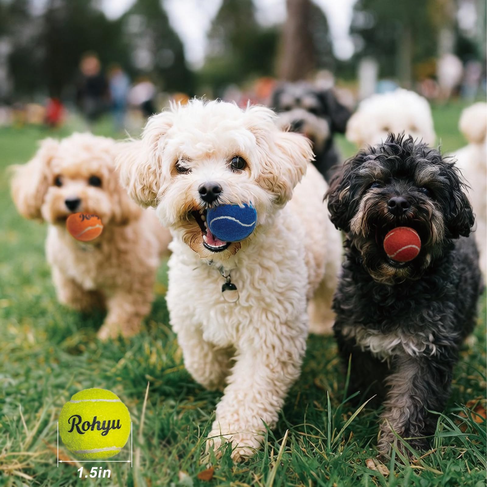 Pelota Rohyu mini para entrenamiento y juego fetch en perros pequeños