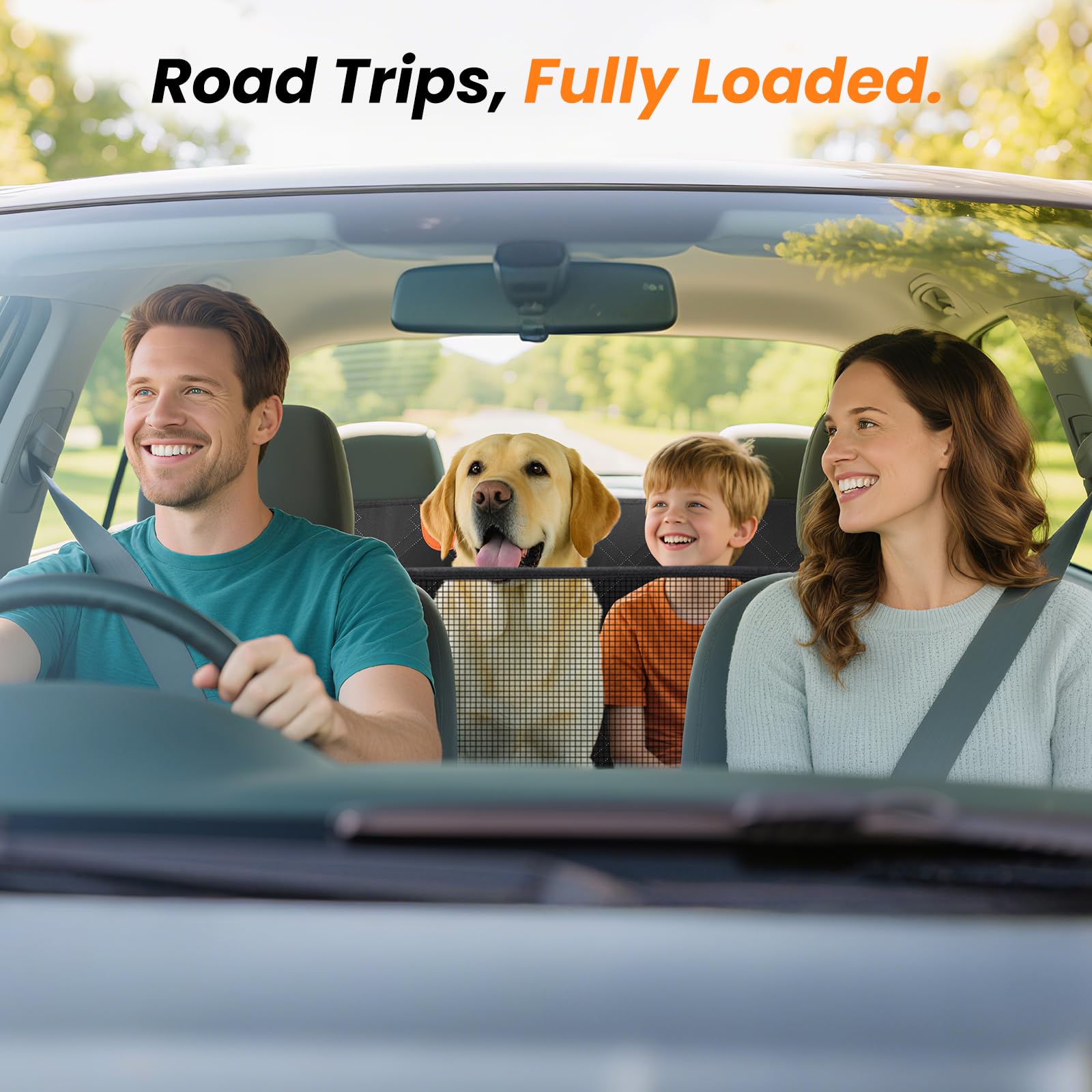 Roilpet amplia espacio trasero para viajar con confianza