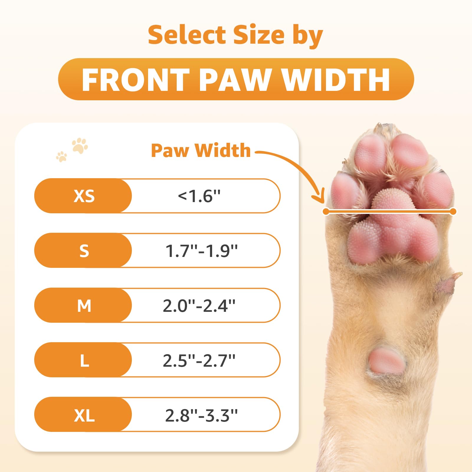 Roilpet calcetines talla medicion patas para ajuste preciso