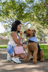 Ron Paws bolso de entrenamiento para perro, práctico para golosinas y llaves