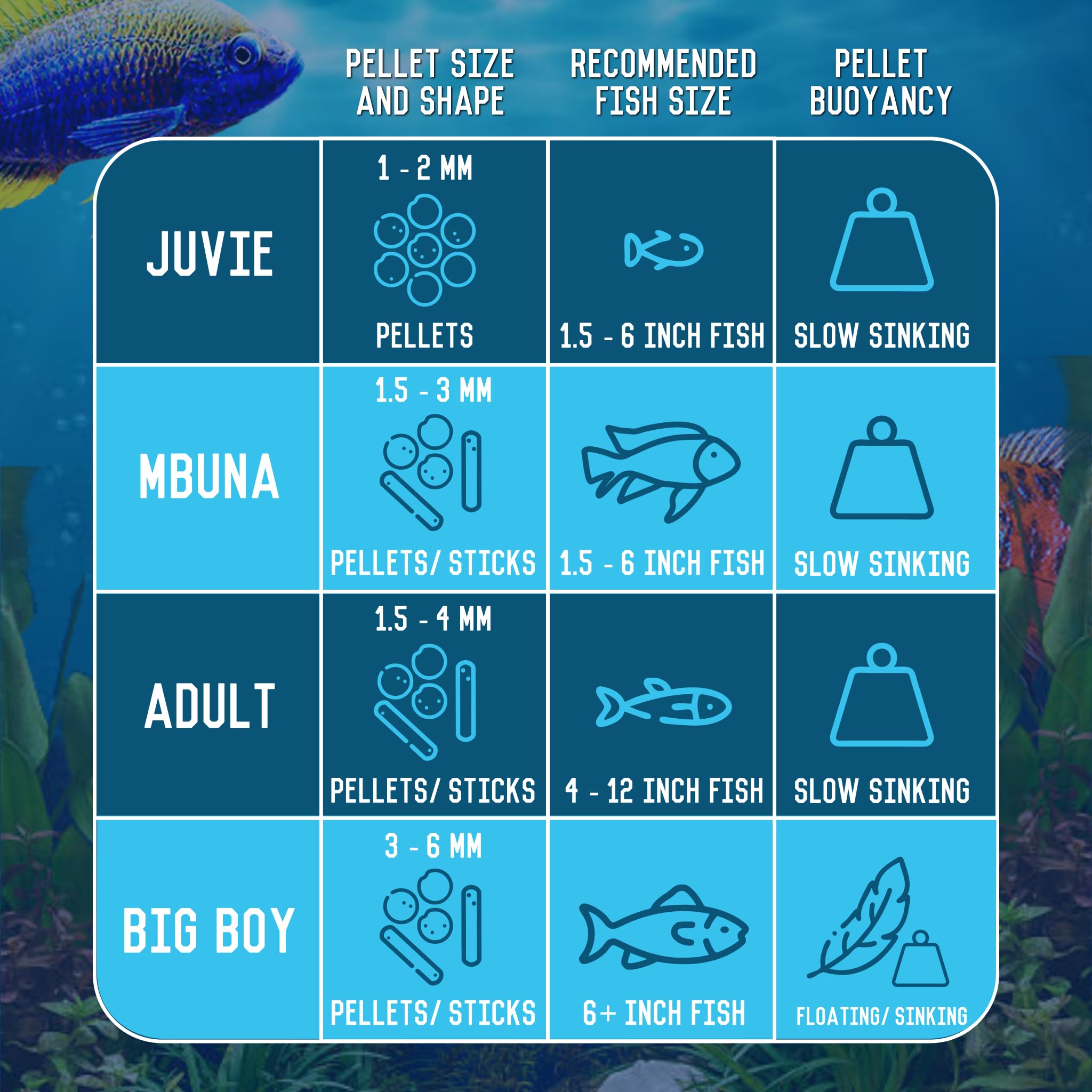 RON'S CICHLIDS coloración vibrante restaurada, mezcla de ingredientes naturales
