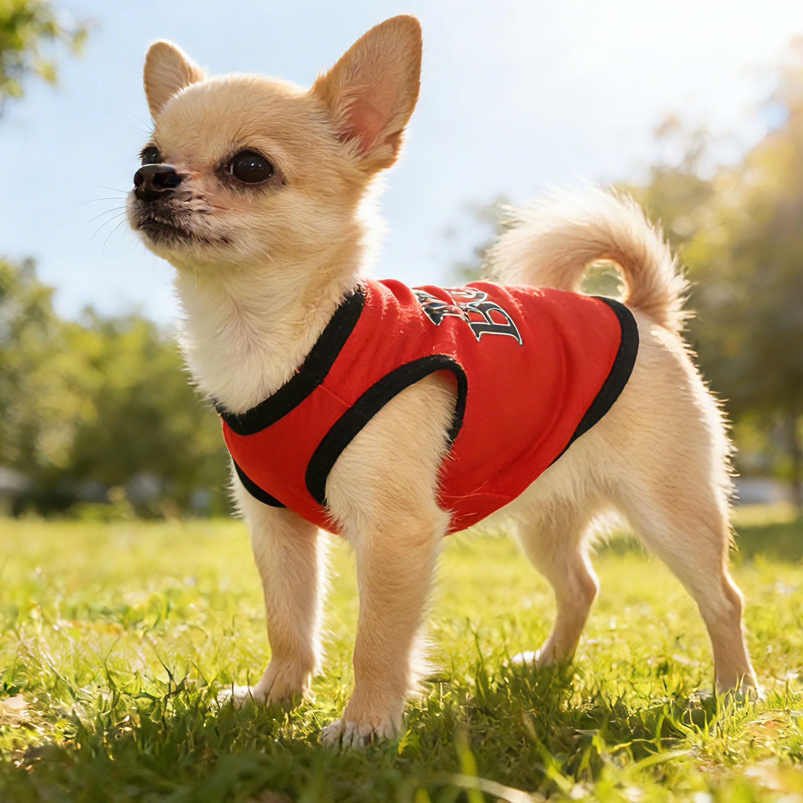 Conjunto de ropa para perros pequeños en gris, suave y transpirable para días activos.