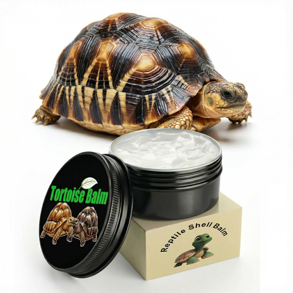 Ropto tortuga caparazon seco a hidratado uso diario.