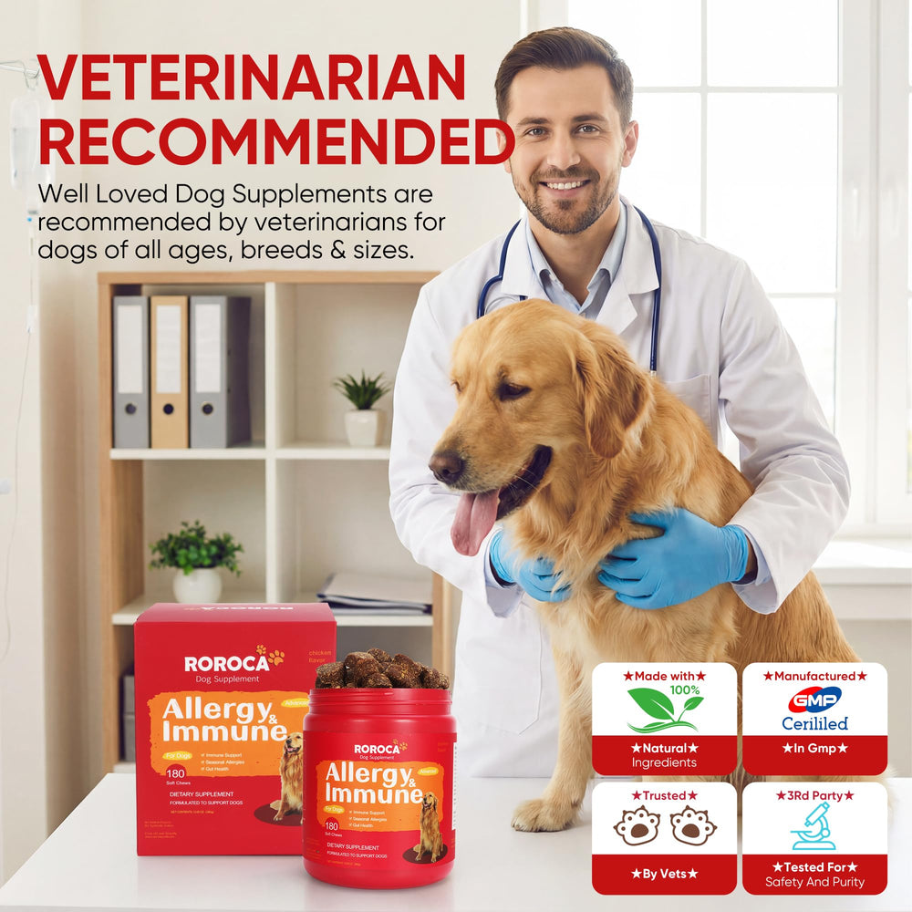 ROROCA pack premium con 180 masticables para perros.