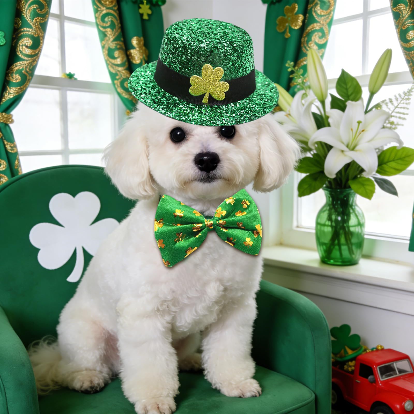 Rosulasi conjunto San Patricio para mascotas, ideal para sesiones de fotos