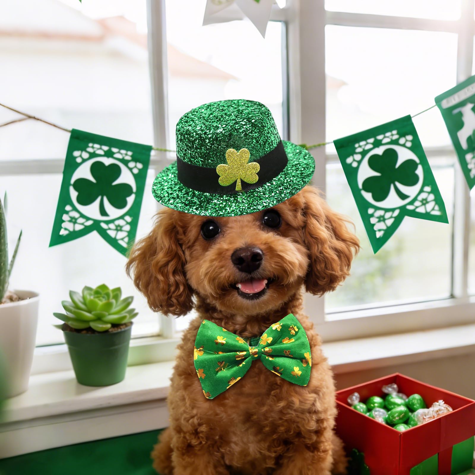 Rosulasi gafas trebol para perros, accesorio ligero para fiestas