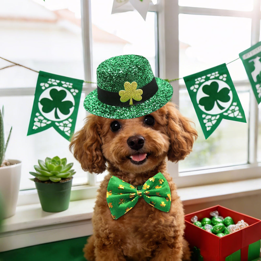 Rosulasi gafas trebol para perros, accesorio ligero para fiestas