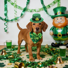 Rosulasi sombrero duende ajustable para mascotas, ajuste cómodo