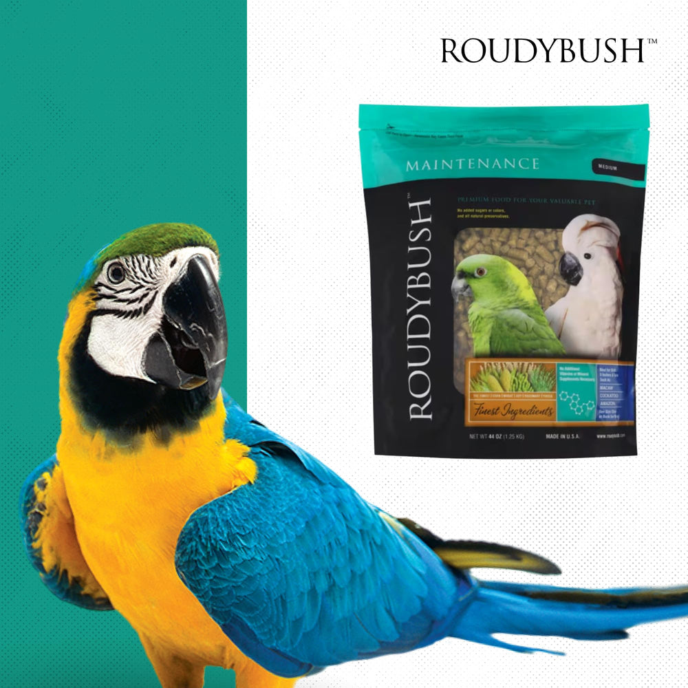 RoudyBush alimento diario para aves: presentación apta para hogar y uso diario