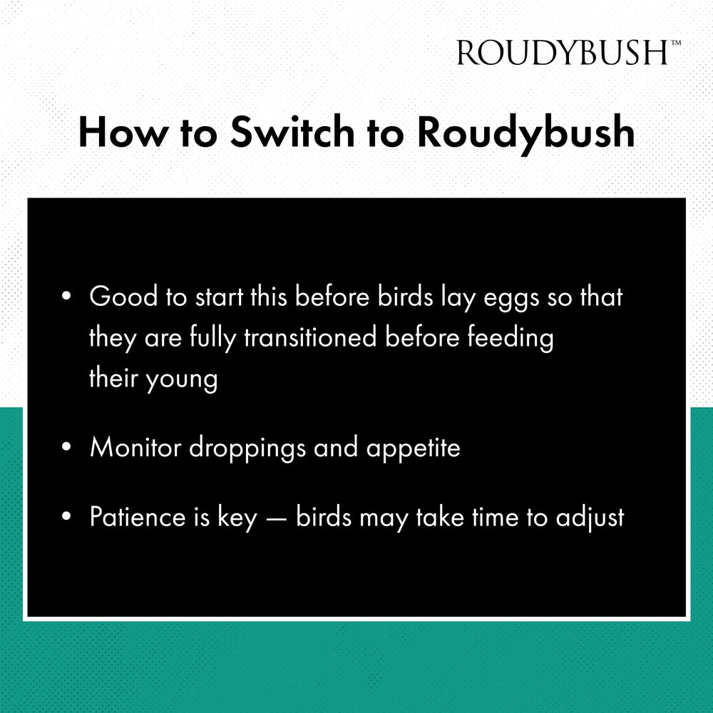 RoudyBush alimento diario para aves: fórmula científicamente diseñada