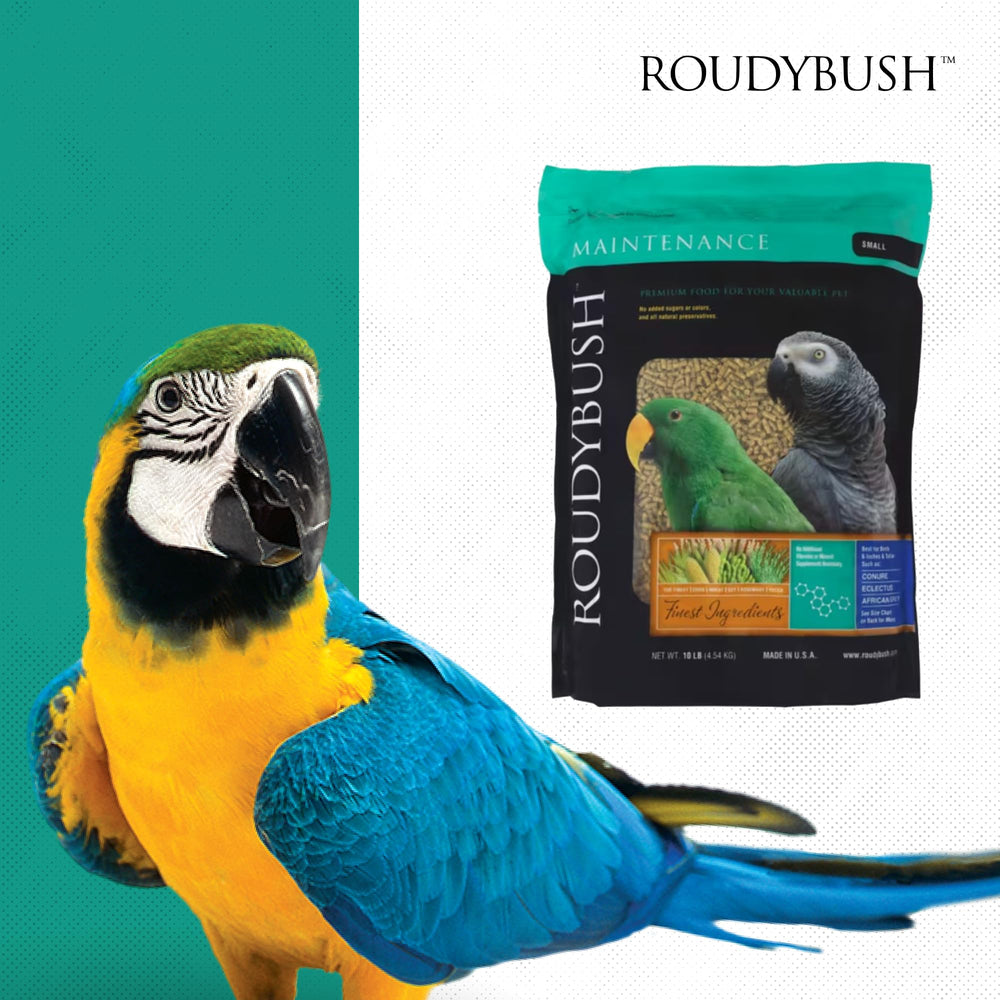 Roudybush hogar con aves pequeñas y jaula