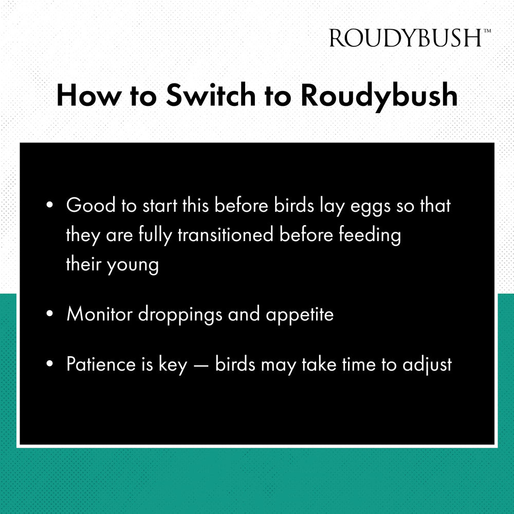 RoudyBush historia de expertos desde 1985 en nutrición aviar