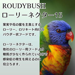 RoudyBush Néctar Lory: polvo para mezclar y transición suave.