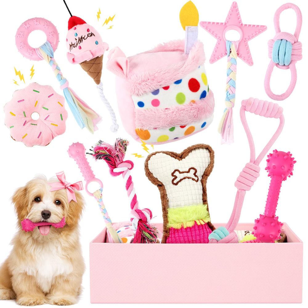 RoundFunny torta de cumpleaños para perro, juguete central para celebrar su día especial.
