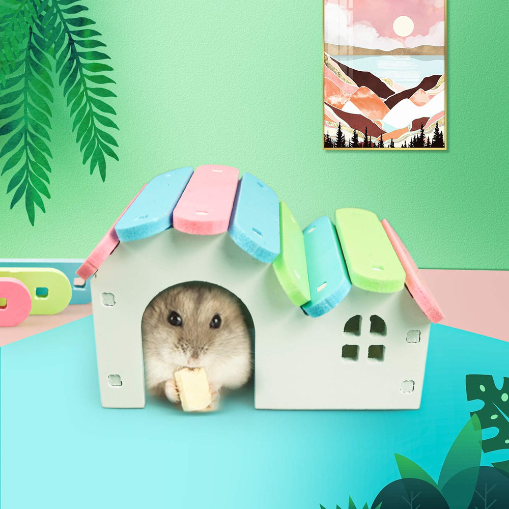 Roundler juego completo para hamster, conjunto versátil para esconderse y ejercitarse.