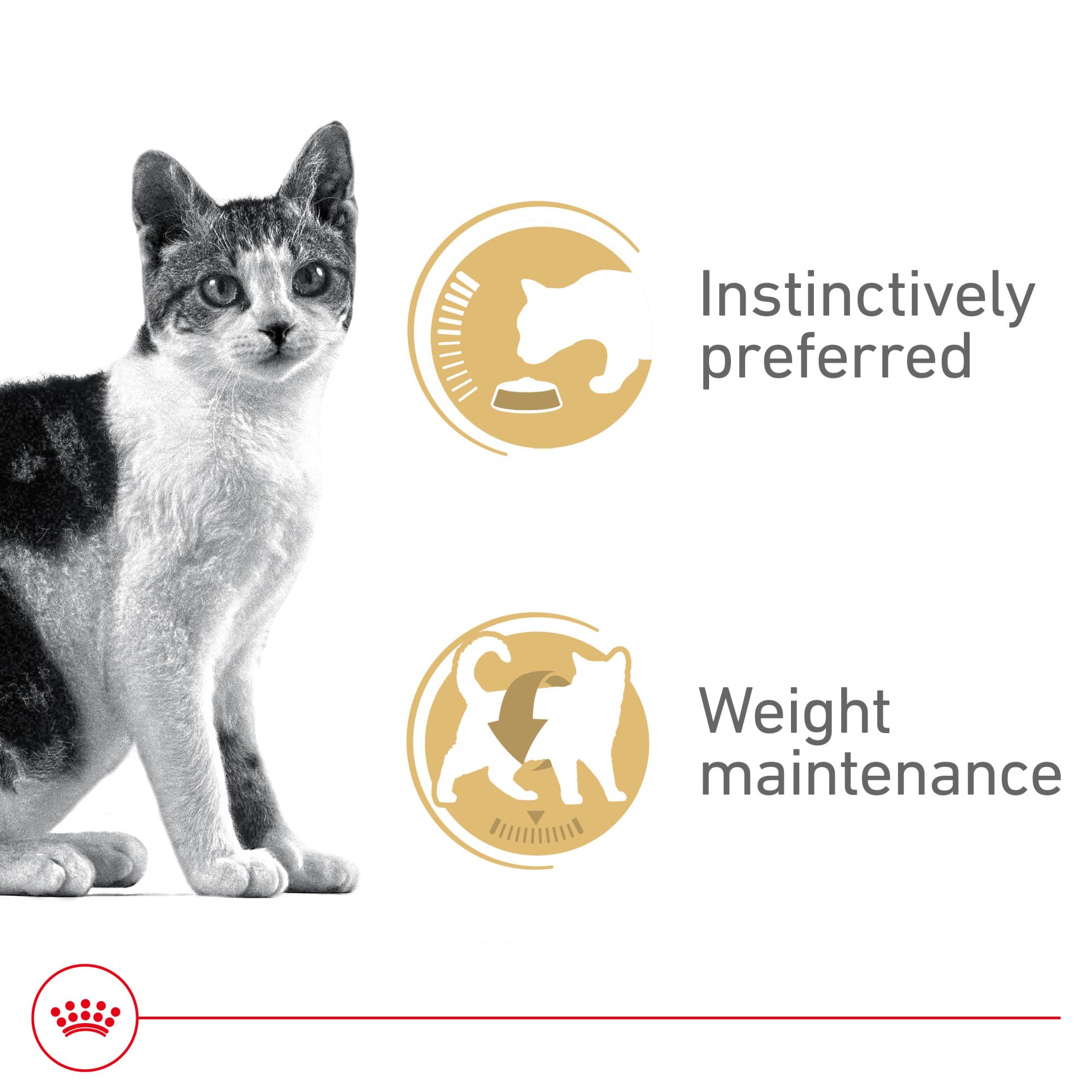 ROYAL CANIN textura suave y atractiva para paladares exigentes.