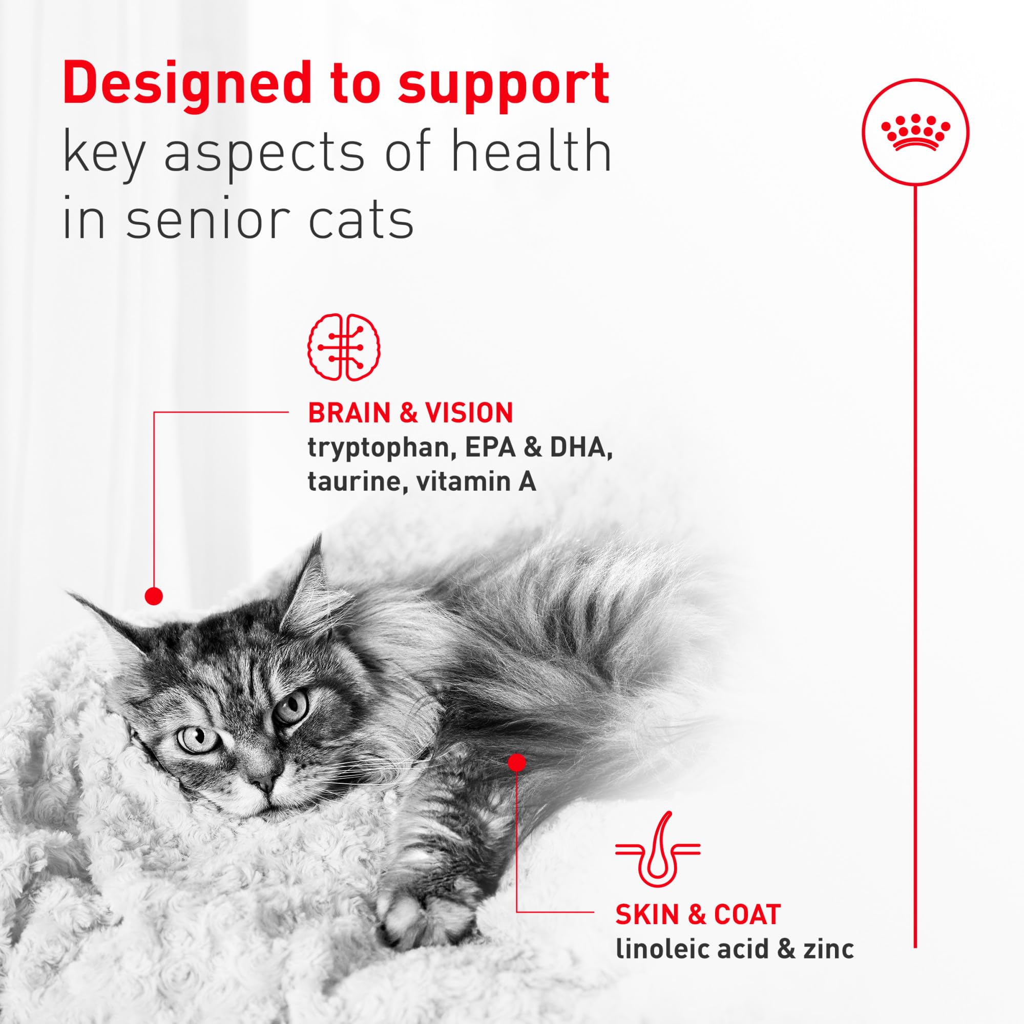 Royal Canin Aging 11+ etiqueta muestra ingredientes clave para la salud del gato.