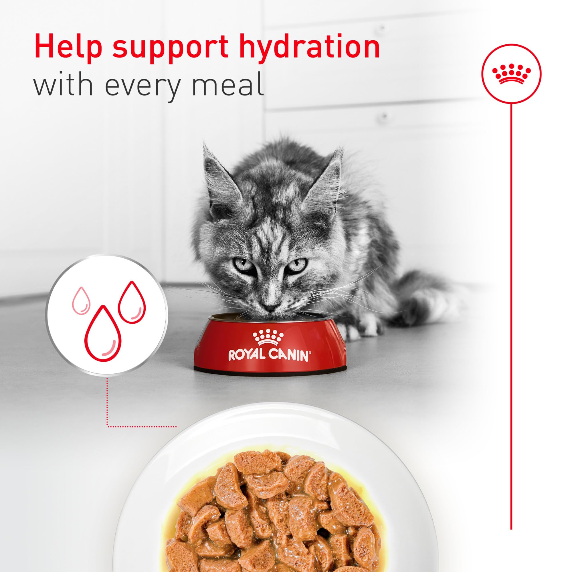 Royal Canin Aging 11+ piel y pelaje saludables gracias a zinc y linoleico.