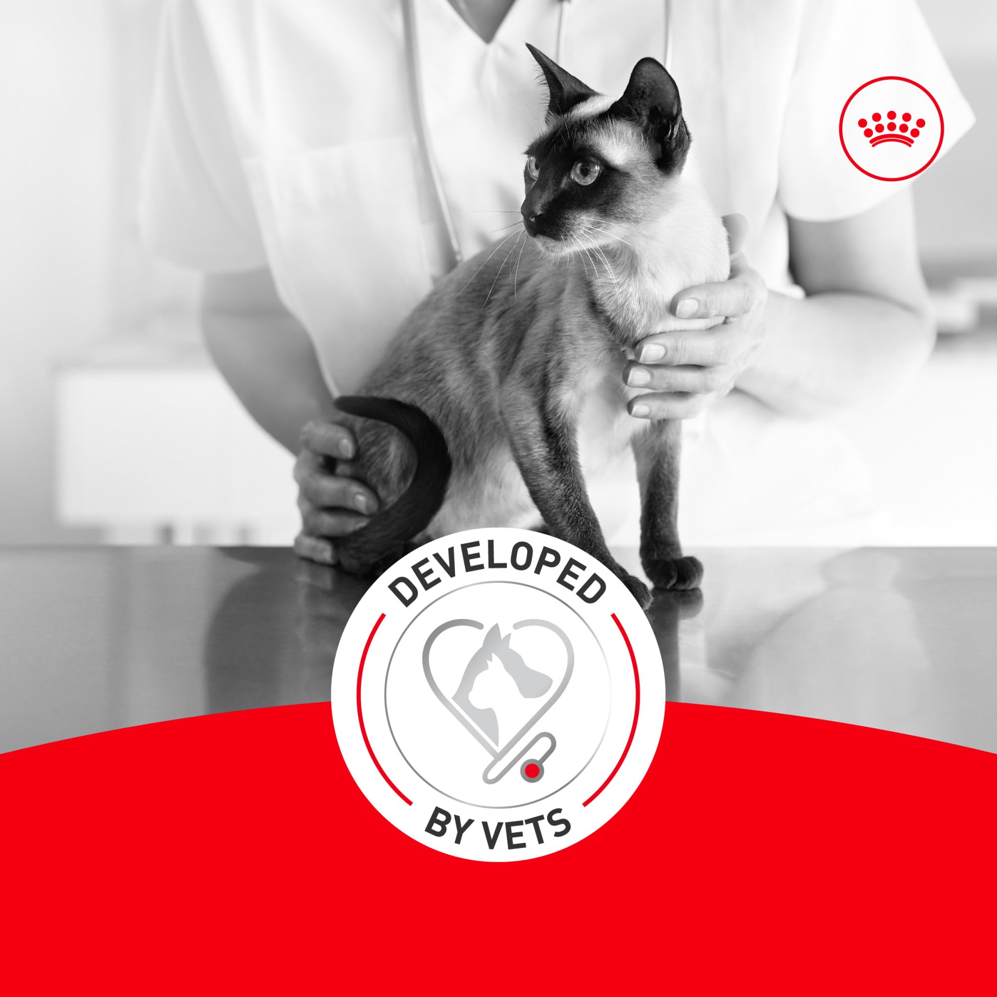Royal Canin Aging 11+ textura fácil de comer, experiencia agradable durante la comida.