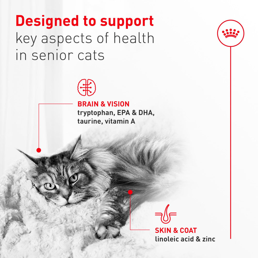 Royal Canin Aging11 Plus aroma apetitoso para la cena.