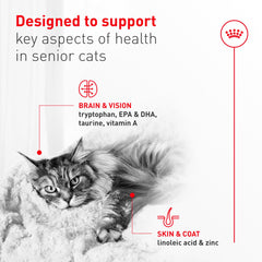 Royal Canin Aging11 Plus aroma apetitoso para la cena.