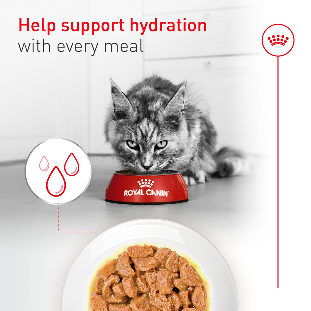 Royal Canin Aging11 Plus digestibilidad alta para una digestión suave.