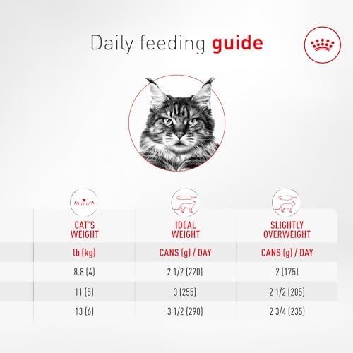 Royal Canin Aging11 Plus fácil de servir en porciones diarias.