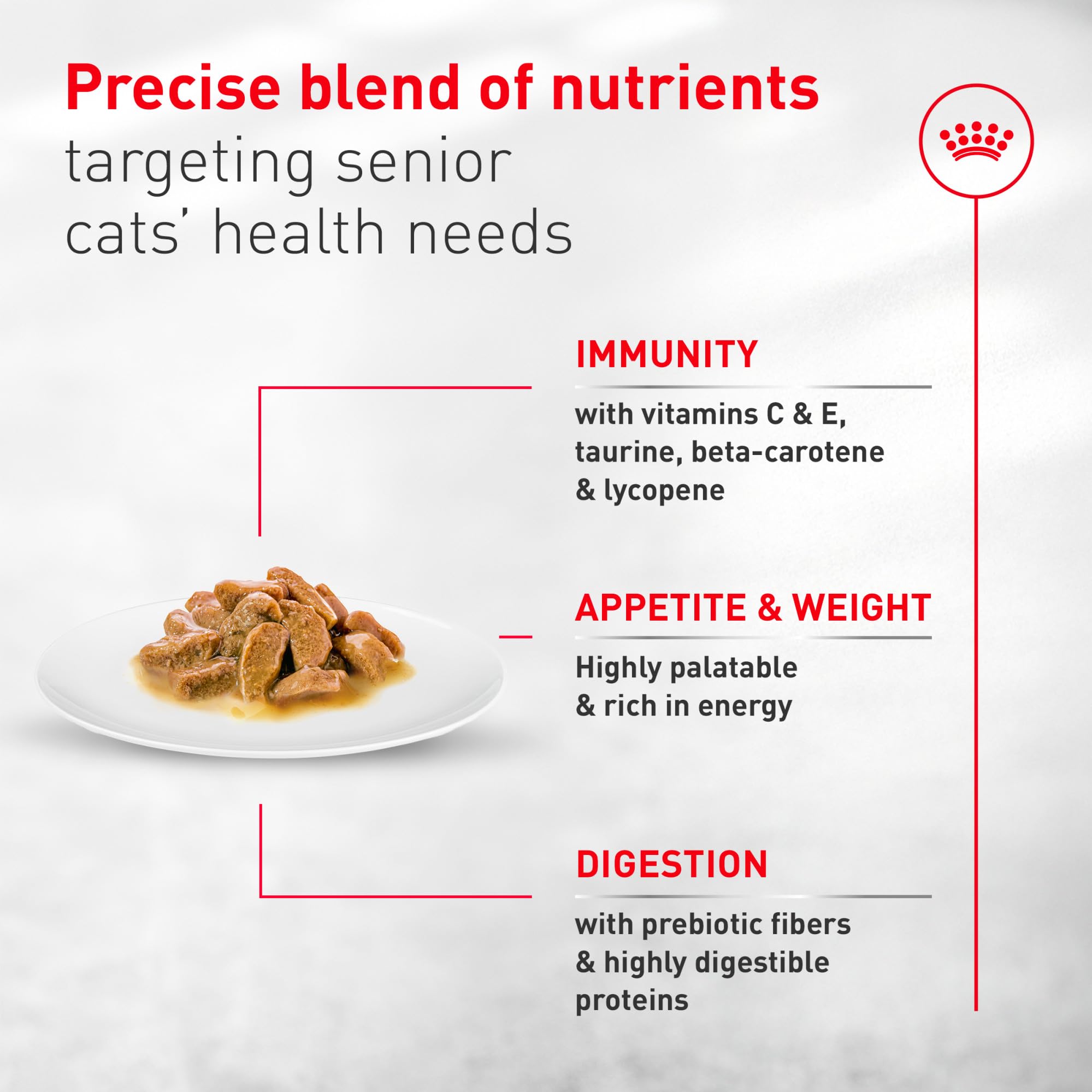 Royal Canin Aging11 Plus textura fácil de masticar para gatos mayores.
