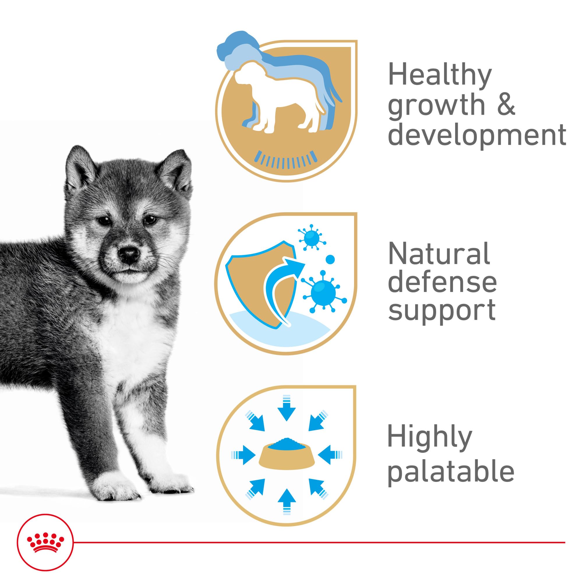 Royal Canin antioxidantes para defensa natural del cachorro en crecimiento.