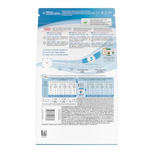Royal Canin Size Indoor Puppy envase con antioxidantes para inmunidad