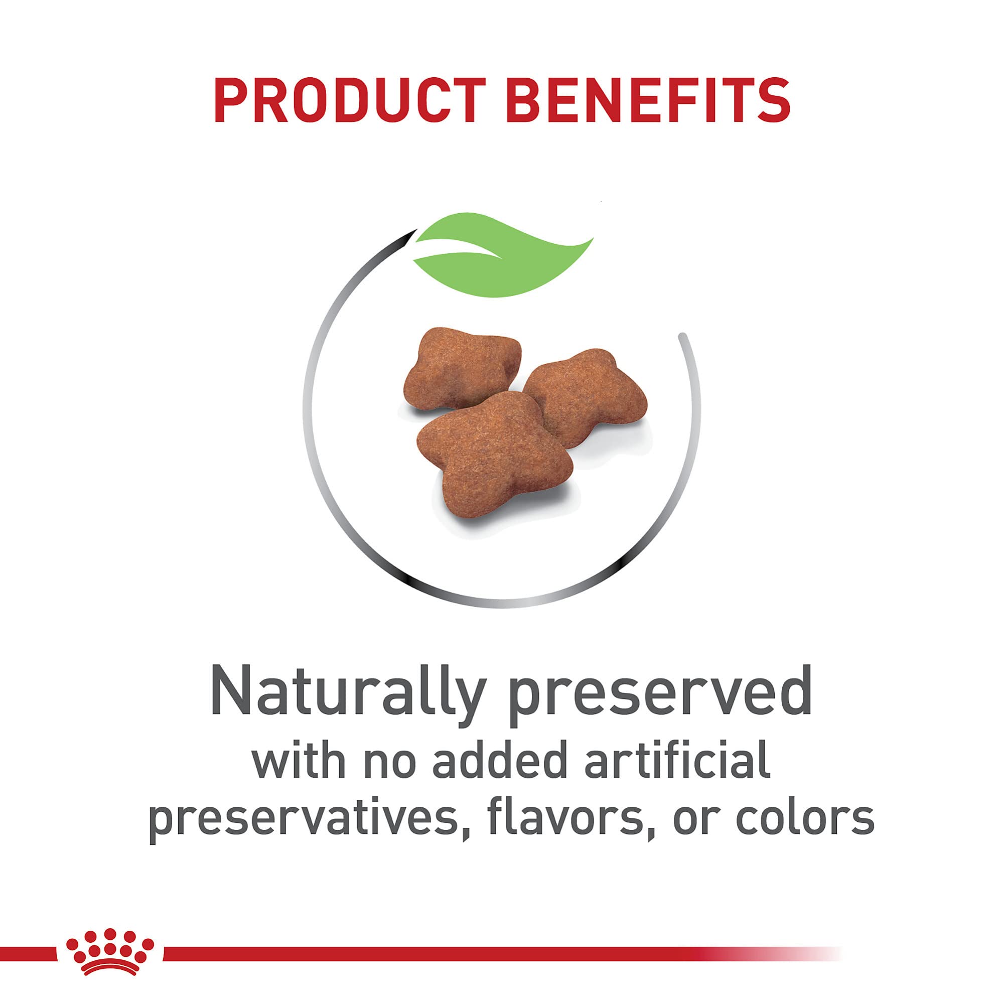 Royal Canin antioxidantes vitaminas E y C para desarrollo inmunologico.