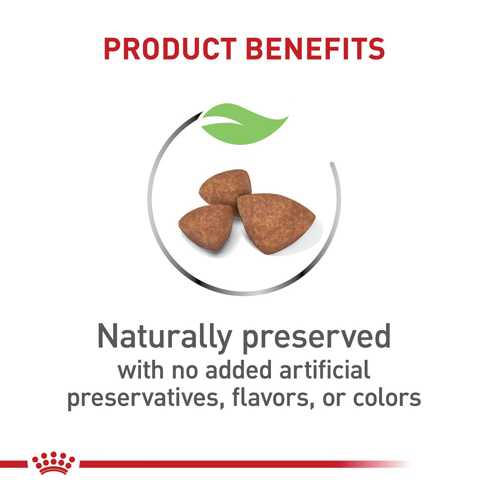 Royal Canin antioxidantes para apoyar el sistema inmune de cachorros.