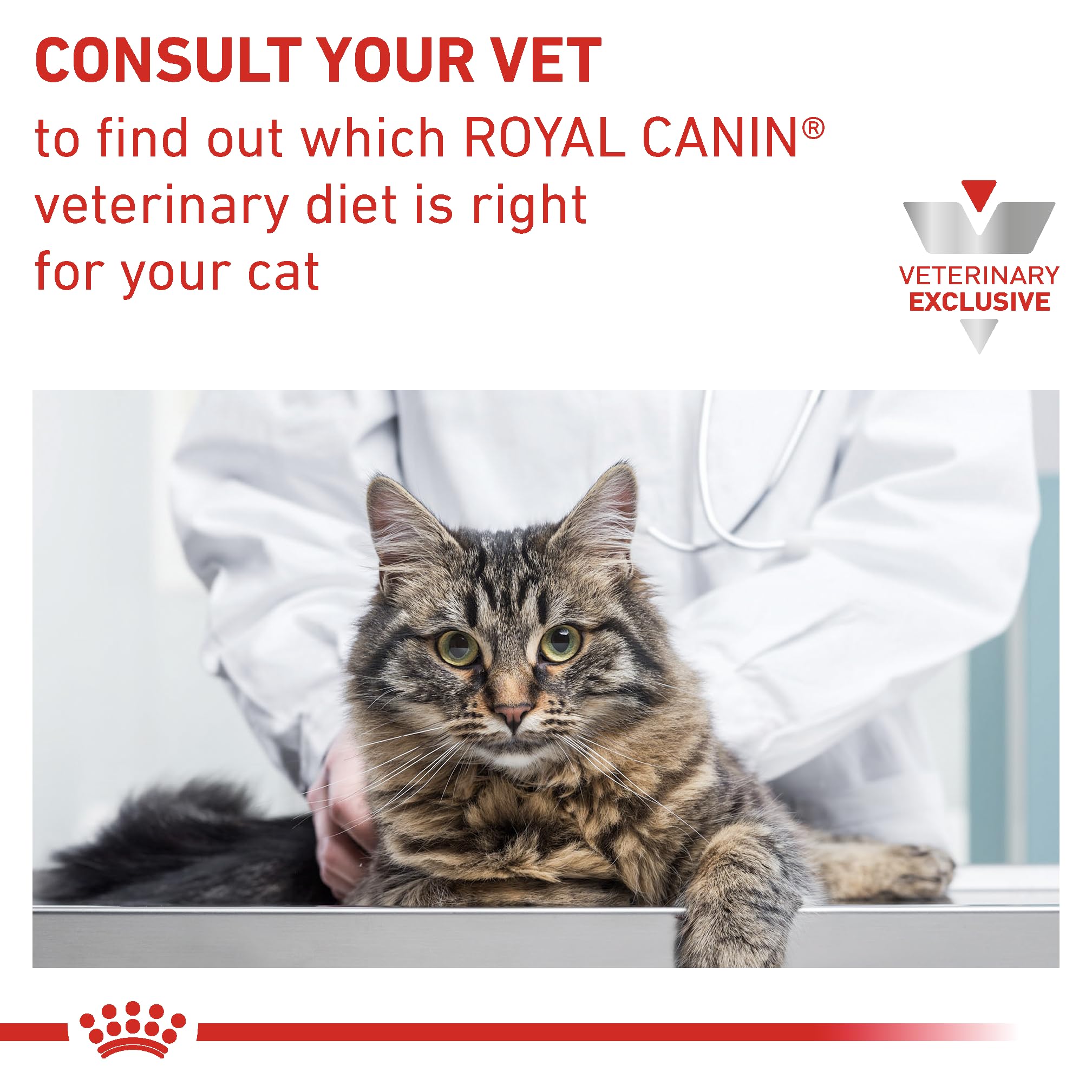 Royal Canin refuerza la barrera cutánea y digestiva en gatos.