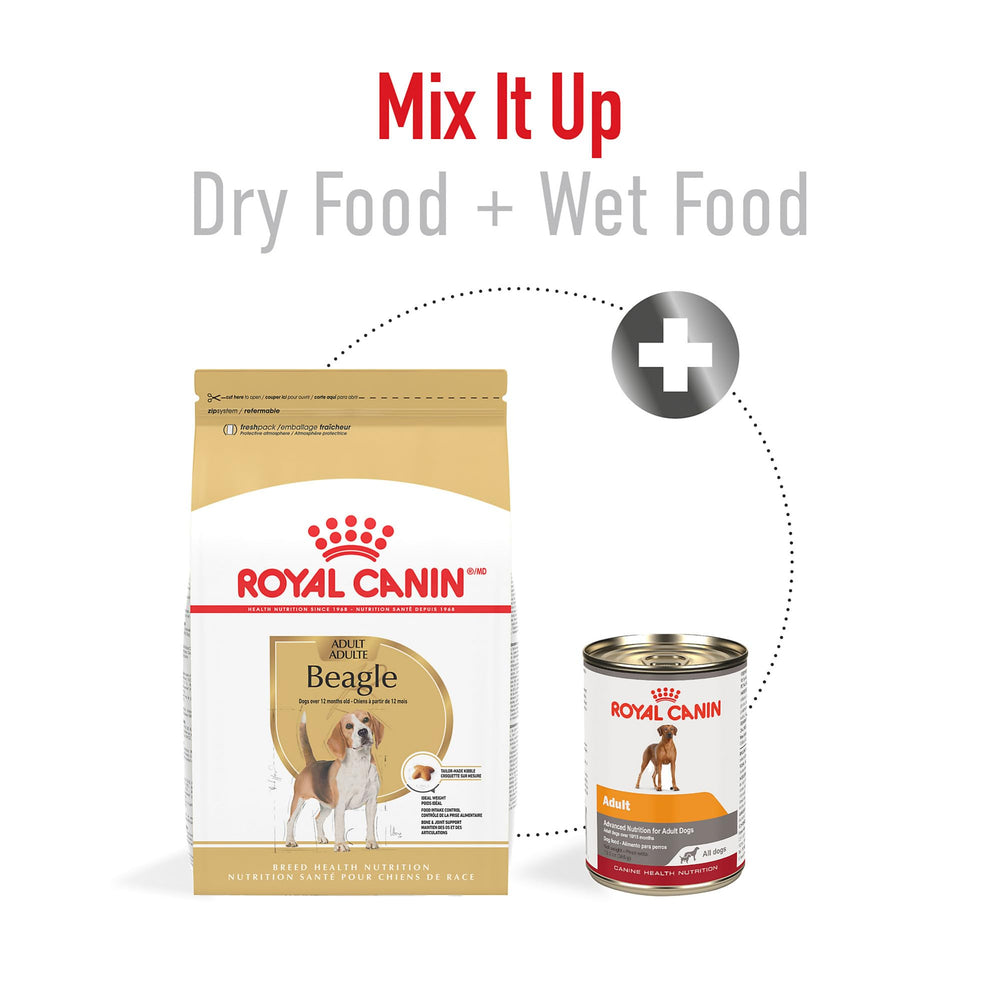 ROYAL CANIN Beagle: glucosamina y condroitina para articulaciones