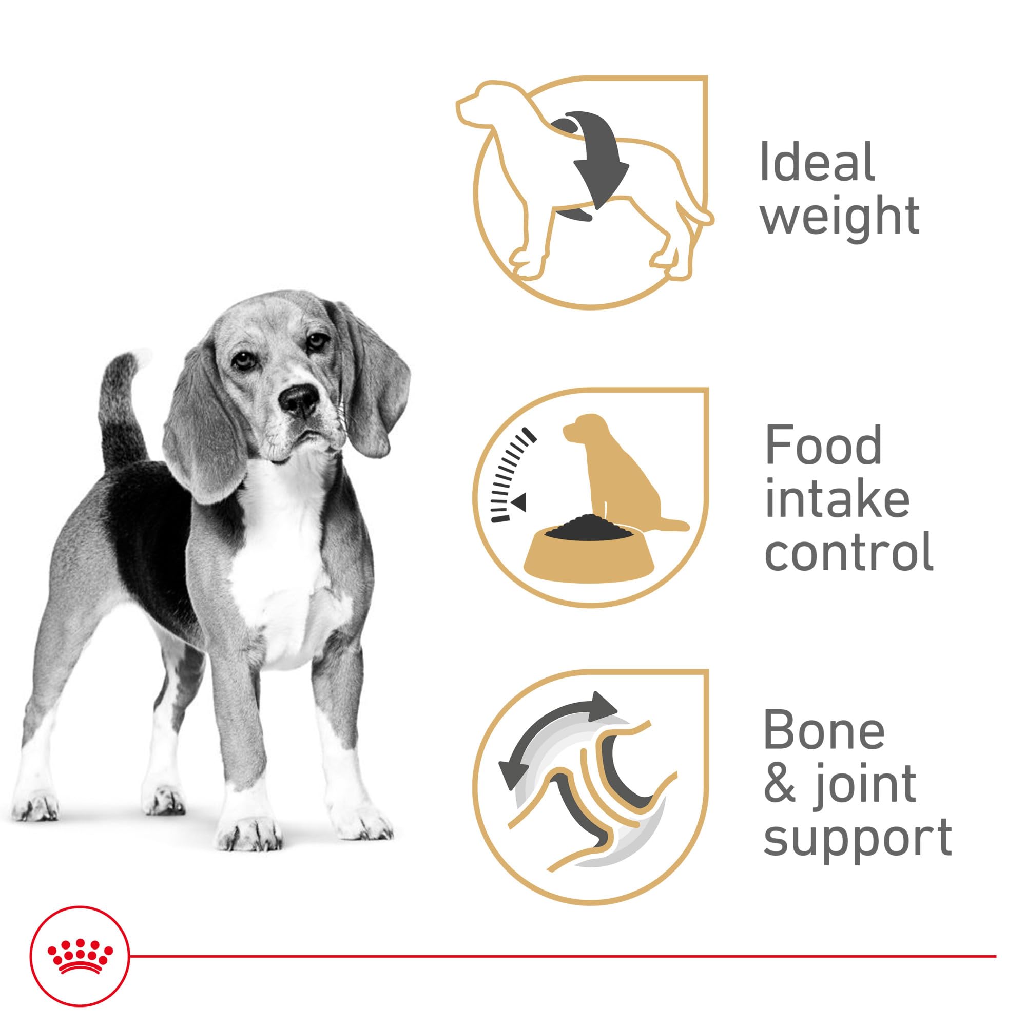 ROYAL CANIN Beagle: fibra exclusiva para sensación de saciedad post comida