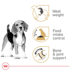 ROYAL CANIN Beagle: fibra exclusiva para sensación de saciedad post comida