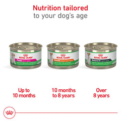 Royal Canin Beauty Adult Loaf en salsa, presentación en paquete cómodo