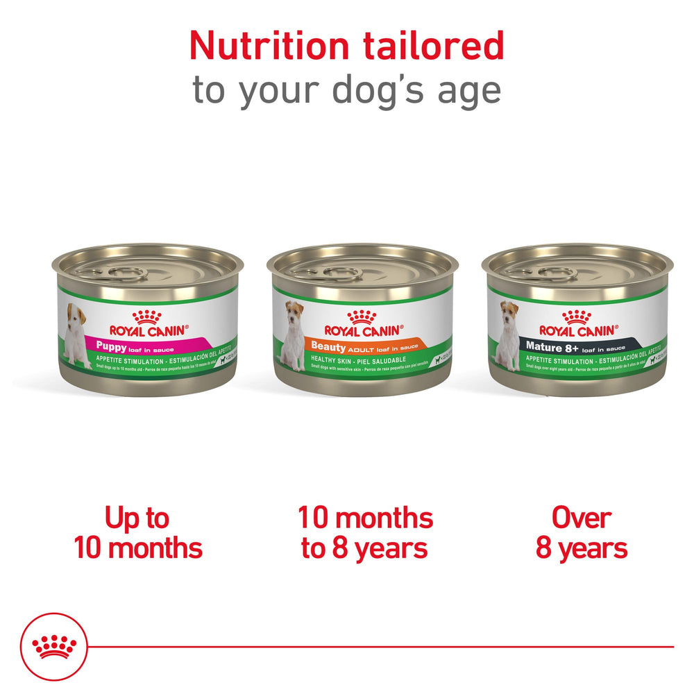 Royal Canin Belleza: alimento en lata que apoya la barrera cutánea y la piel.