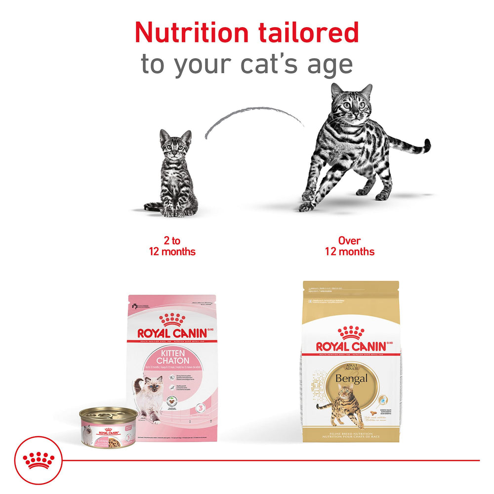 Royal Canin Bengal apoya el tono muscular para felinos activos.