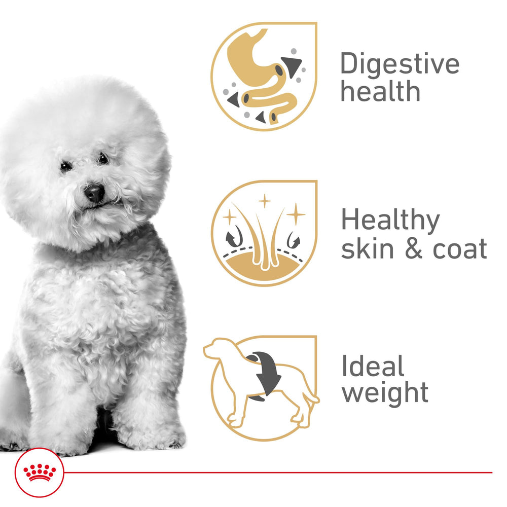 Royal Canin Bichon Frise Adult, digestión saludable con proteínas de calidad.