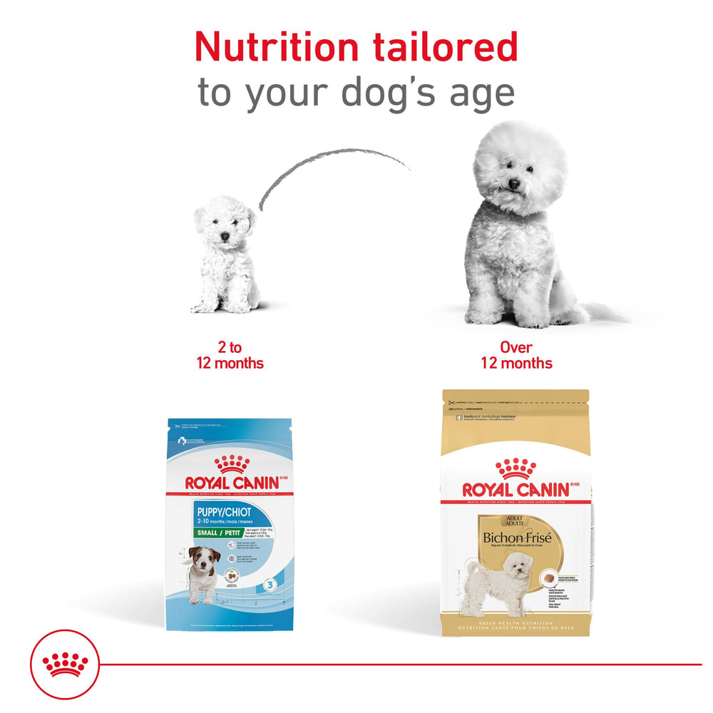 Royal Canin Bichon Frise Adult, nutrientes clave para rendimiento diario.