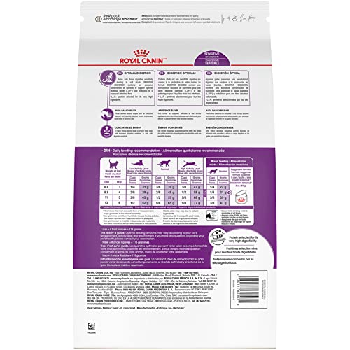 Royal Canin Gato Sensible Digestión, imagen de comida lista para servir.